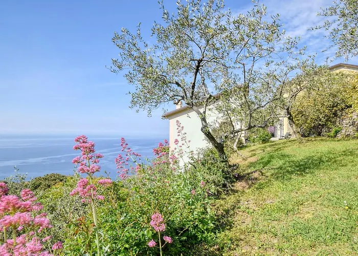 S Rocco Dimora Tra Ulivi E M