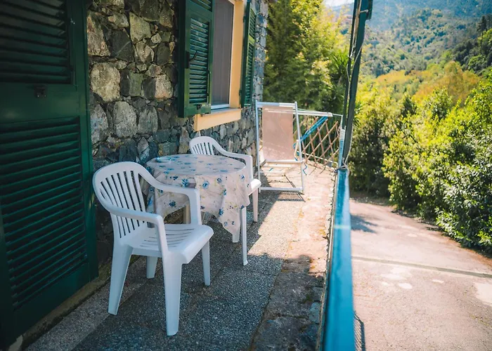 L'ulivo